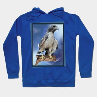 hawk Hoodie